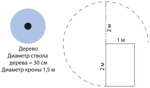 Математическое мышление