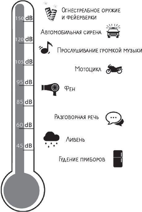 В лабиринтах уха, горла и носа. Скрытые механизмы работы, неочевидные взаимосвязи и полезные знания, которые помогут «дотянуть» до визита к врачу