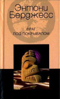 Книга « Враг под покрывалом » - читать онлайн