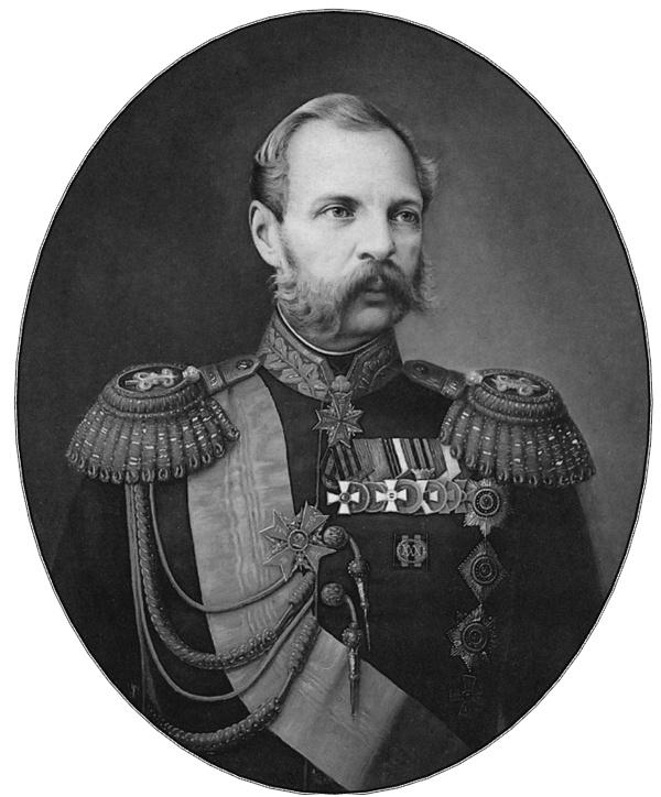 Дневник. 1873–1882. Том 1