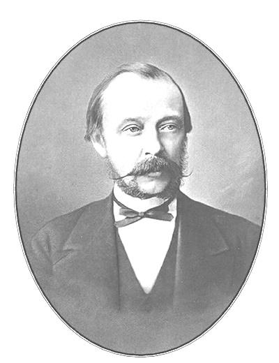 Дневник. 1873–1882. Том 2