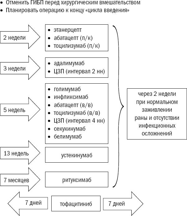 Иммунитет атакует. Почему организм разрушает себя