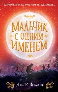 Книга « Мальчик с одним именем » - читать онлайн