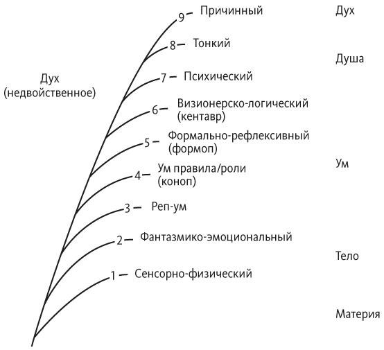 Краткая история всего