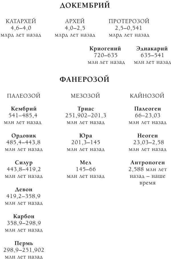 Палеонтология антрополога. Книга 2. Мезозой