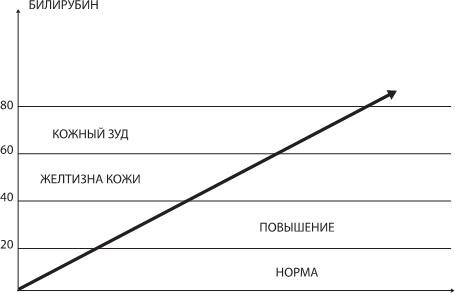 О чем молчит печень. Как уловить сигналы самого крупного внутреннего органа, который предпочитает оставаться в тени