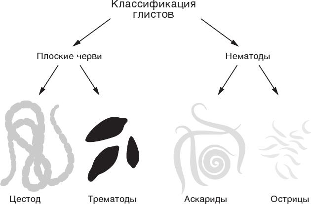 О чем молчит печень. Как уловить сигналы самого крупного внутреннего органа, который предпочитает оставаться в тени