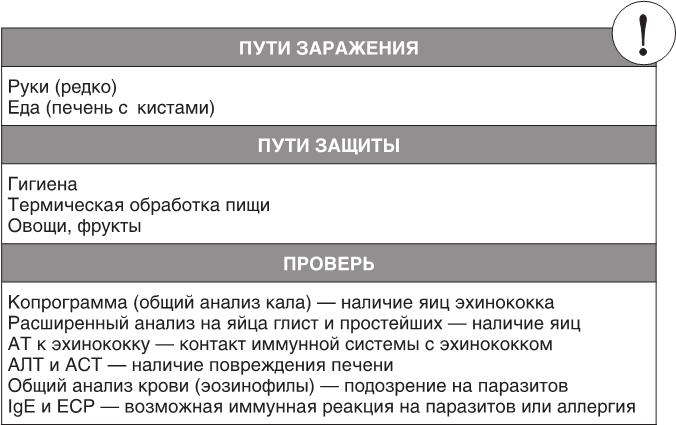 О чем молчит печень. Как уловить сигналы самого крупного внутреннего органа, который предпочитает оставаться в тени