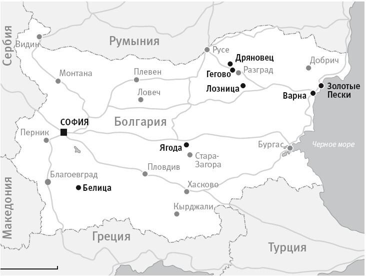 Танцующие медведи. Опыт обретения свободы