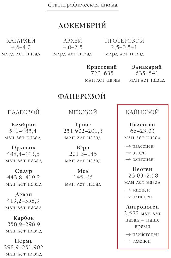 Палеонтология антрополога. Иллюстрированный путеводитель в зверинец прошлого