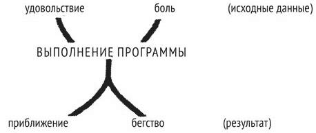 Психология эволюции. Руководство по освобождению от запрограммированного поведения