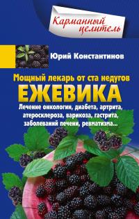 Книга « Мощный лекарь от ста недугов. Ежевика. Лечение онкологии, диабета, артрита, атеросклероза, варикоза, гастрита, заболеваний печени, ревматизма… » - читать онлайн