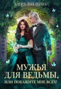 Книга « Мужья для ведьмы, или Покажите мне всех! » - читать онлайн