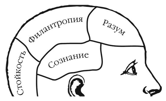 Арти Конан Дойл и Клуб Гробокопателей